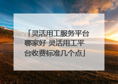 灵活用工服务平台哪家好 灵活用工平台收费标准几个点