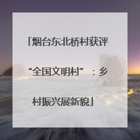 烟台东北桥村获评“全国文明村”：乡村振兴展新貌