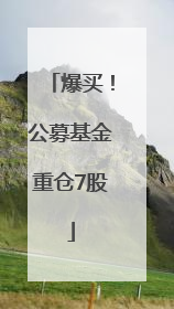 爆买！公募基金重仓7股