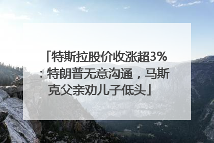 特斯拉股价收涨超3%：特朗普无意沟通，马斯克父亲劝儿子低头