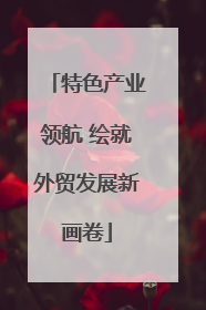 特色产业领航 绘就外贸发展新画卷