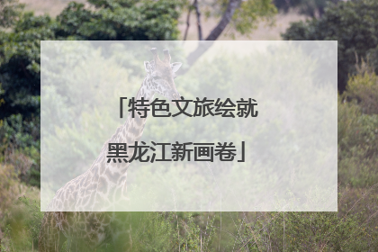 特色文旅绘就黑龙江新画卷