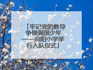 牢记党的教导 争做强国少年——向阳小学举行入队仪式