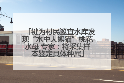 犍为村民巡查水库发现“水中大熊猫”桃花水母 专家：将采集样本鉴定具体种属