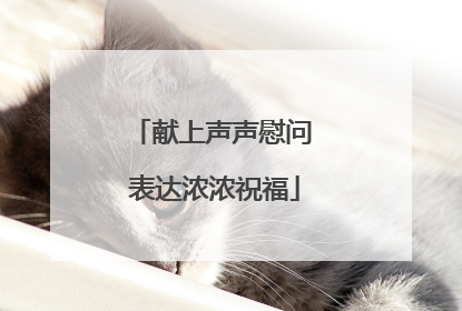 献上声声慰问 表达浓浓祝福