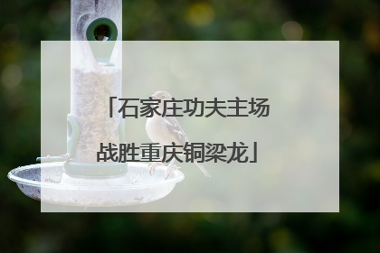 石家庄功夫主场战胜重庆铜梁龙