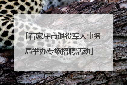 石家庄市退役军人事务局举办专场招聘活动