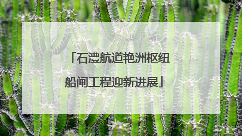石澧航道艳洲枢纽船闸工程迎新进展