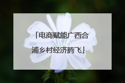 电商赋能广西合浦乡村经济腾飞