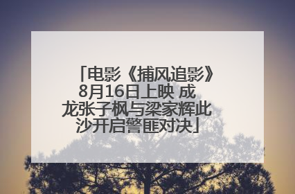 电影《捕风追影》8月16日上映 成龙张子枫与梁家辉此沙开启警匪对决