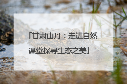 甘肃山丹：走进自然课堂探寻生态之美