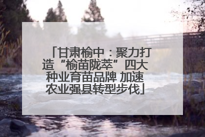 甘肃榆中：聚力打造“榆苗陇萃”四大种业育苗品牌 加速农业强县转型步伐