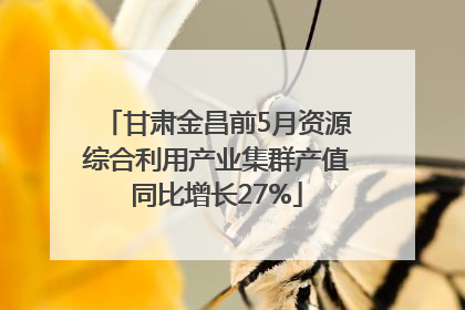 甘肃金昌前5月资源综合利用产业集群产值同比增长27%