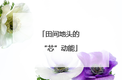 田间地头的“芯”动能