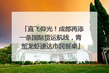 直飞仰光！成都再添一条国际货运航线，青蟹龙虾速达市民餐桌