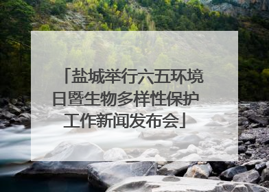 盐城举行六五环境日暨生物多样性保护工作新闻发布会