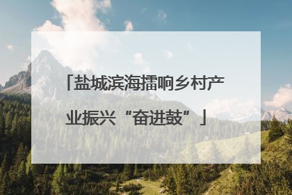 盐城滨海擂响乡村产业振兴“奋进鼓”