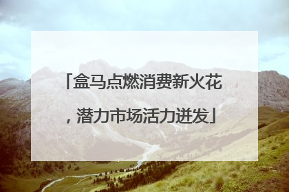 盒马点燃消费新火花，潜力市场活力迸发