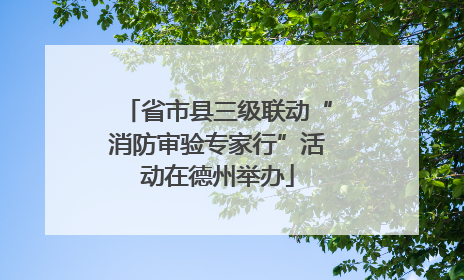 省市县三级联动“消防审验专家行”活动在德州举办