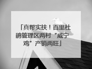 真帮实扶！百里杜鹃管理区两村“威宁鸡”产销两旺