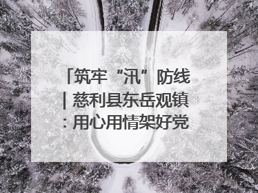 筑牢“汛”防线｜慈利县东岳观镇：用心用情架好党群温暖悠长的“连心桥”