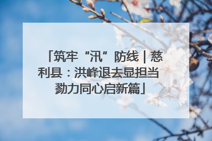 筑牢“汛”防线｜慈利县：洪峰退去显担当 勠力同心启新篇
