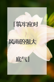 筑牢应对风雨的强大底气