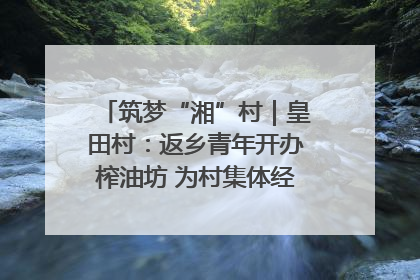 筑梦“湘”村｜皇田村：返乡青年开办榨油坊 为村集体经济“加油”