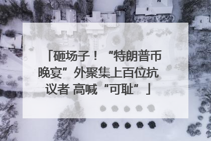 砸场子！“特朗普币晚宴”外聚集上百位抗议者 高喊“可耻”