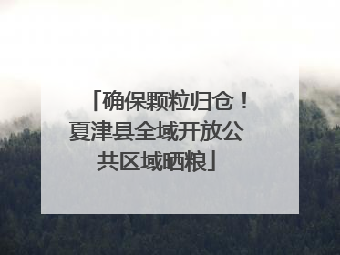 确保颗粒归仓！夏津县全域开放公共区域晒粮