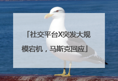 社交平台X突发大规模宕机，马斯克回应