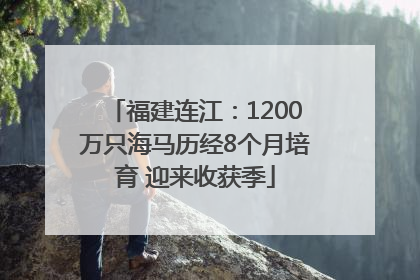 福建连江：1200万只海马历经8个月培育 迎来收获季
