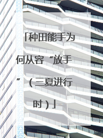 种田能手为何从容“放手”（三夏进行时）