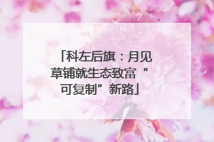 科左后旗：月见草铺就生态致富“可复制”新路
