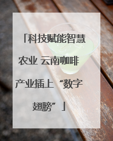 科技赋能智慧农业 云南咖啡产业插上“数字翅膀”