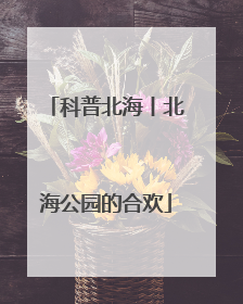 科普北海丨北海公园的合欢