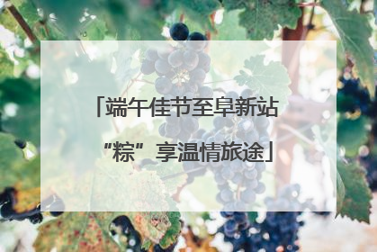 端午佳节至阜新站“粽”享温情旅途