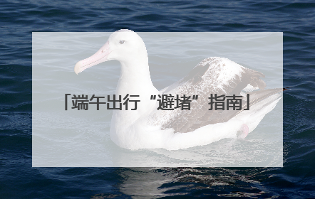端午出行“避堵”指南
