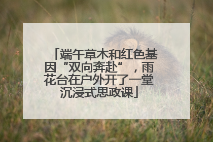 端午草木和红色基因“双向奔赴”，雨花台在户外开了一堂沉浸式思政课