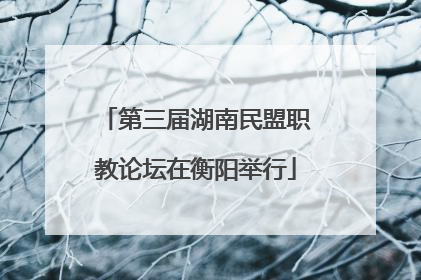 第三届湖南民盟职教论坛在衡阳举行
