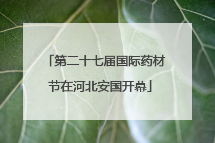 第二十七届国际药材节在河北安国开幕