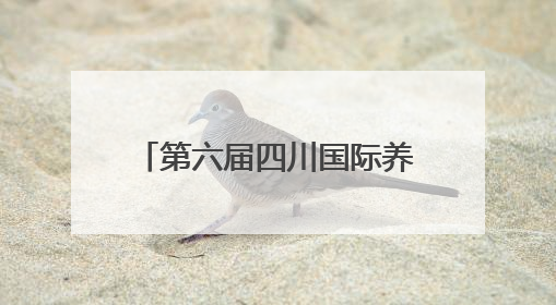 第六届四川国际养老服务业暨养老产业博览会开幕，脑机接口等黑科技亮相