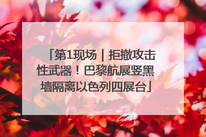第1现场｜拒撤攻击性武器！巴黎航展竖黑墙隔离以色列四展台