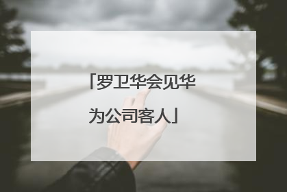 罗卫华会见华为公司客人