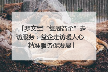 罗文军“每周益企”走访服务：益企走访暖人心 精准服务促发展