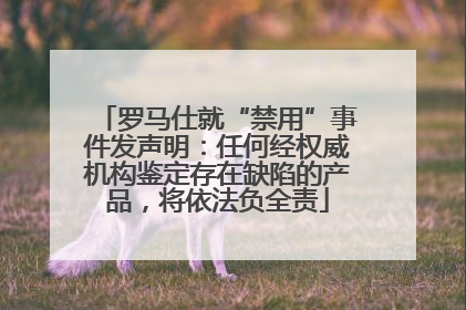 罗马仕就“禁用”事件发声明：任何经权威机构鉴定存在缺陷的产品，将依法负全责