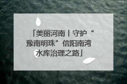 美丽河南丨守护“豫南明珠”信阳南湾水库治理之路