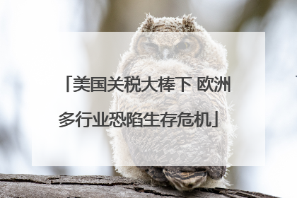 美国关税大棒下 欧洲多行业恐陷生存危机