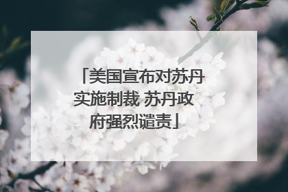 美国宣布对苏丹实施制裁 苏丹政府强烈谴责