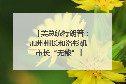 美总统特朗普：加州州长和洛杉矶市长“无能”